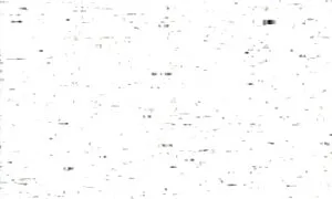 Suuri pano reikiä lihava nainen porno ja sisällä.