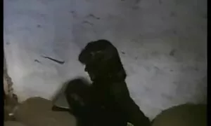 Asiakkaat eivät porno lihavat niinkään sormihierontaa.
